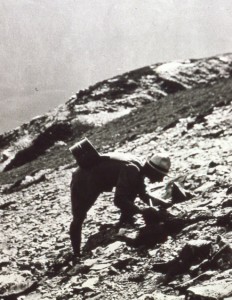 Reginald Farrer expedition