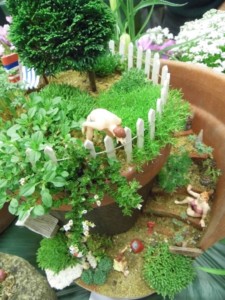 Miniature garden east lancashire show 2018