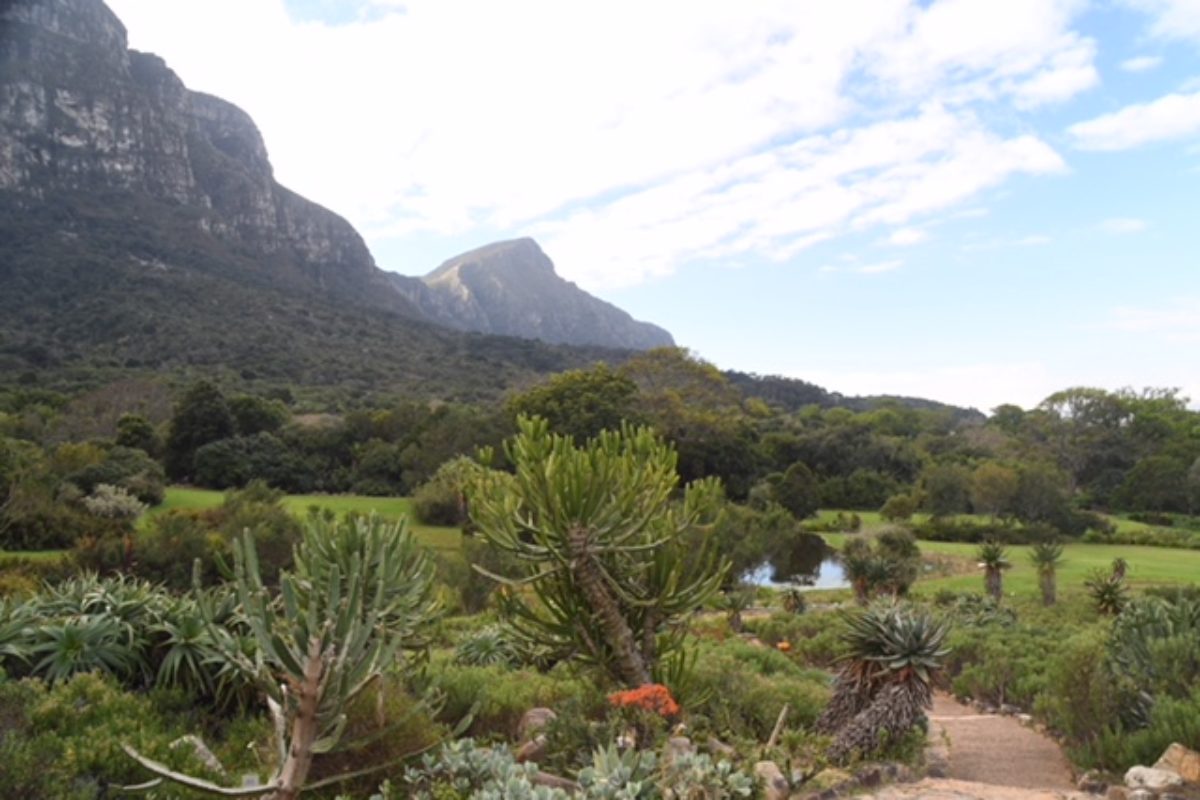 Kirstenbosch Botanical Garden South Africa