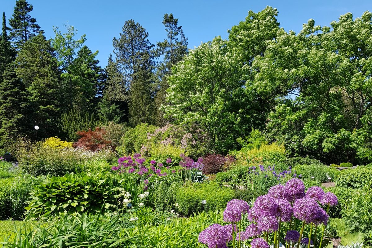 Gothenburg Botanical Garden (Sweden)
