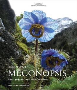 genus Meconopsis