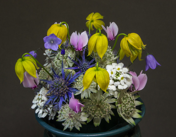 Flower arrangement (Exhibitor: Peter Hood)