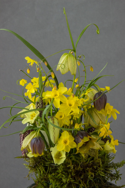 Flower arrangement (Exhibitor: Ben & Paddy Parmee)