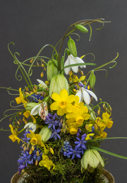 Flower arrangement (Exhibitor: Ben & Paddy Parmee)