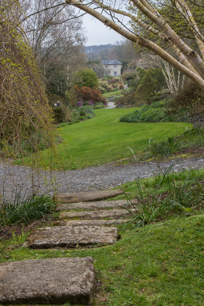 The Long Walk, The Garden House, Devon