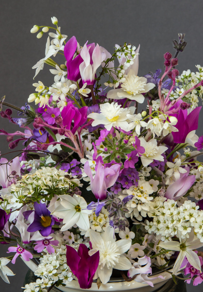 Flower arrangement (Exhibitor: Lee & Julie Martin)