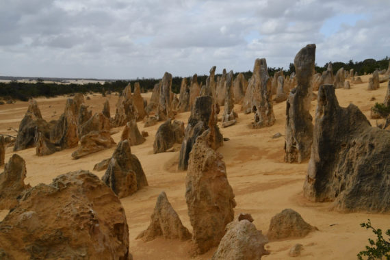 The Pinnacles, limstone formations in Western Australia