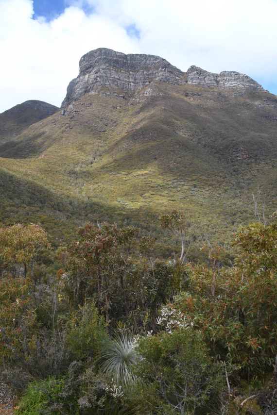 Bluff Knoll - the highest peak in the Stirling Range