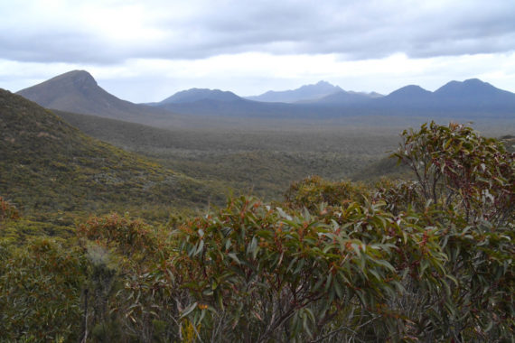 View of the Stirling range