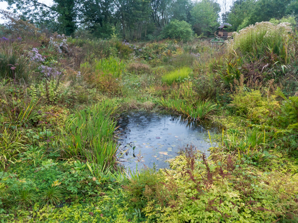 The pools at the bottom of the garden, Wildside Nursery