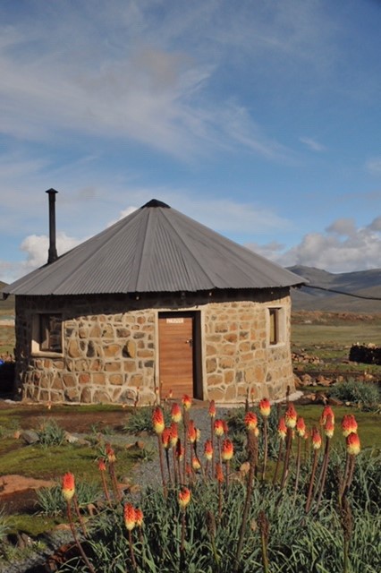 Small pub on top of the Sani Pass, surrounded by Kniphofia caulescens