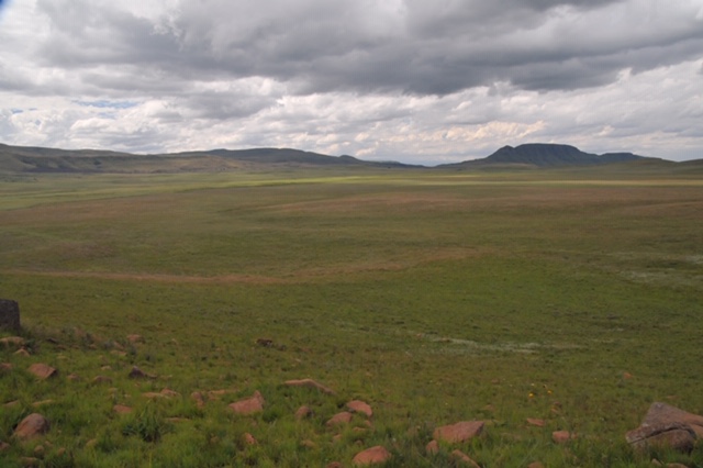 View of the Ntsikeni grassland