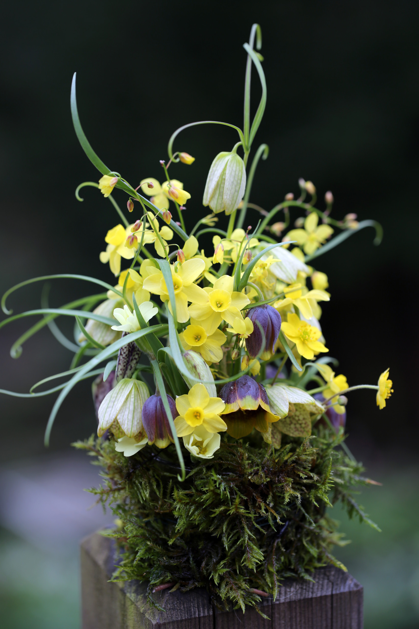 8 Steps to Beautiful Flower Arrangements - Alpine Garden Society