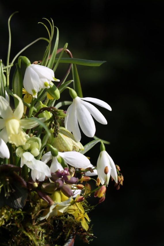 Finished flower arrangement sith snowdrops and fritillaries