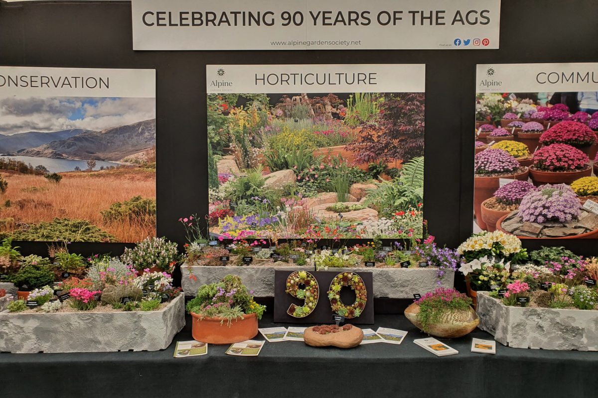East Cheshire AGS group display at Tatton flower show