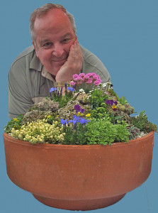 John Dower Miniature gardens online plant talks