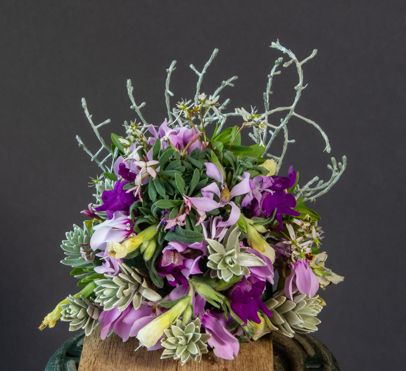 Flower arrangement exhibited by David Carver