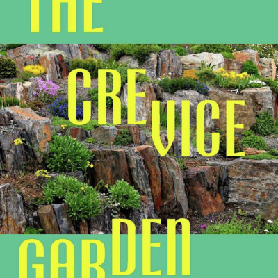 crevice garden