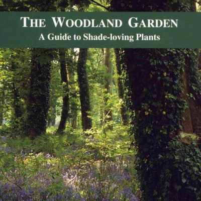 woodland garden shade plants