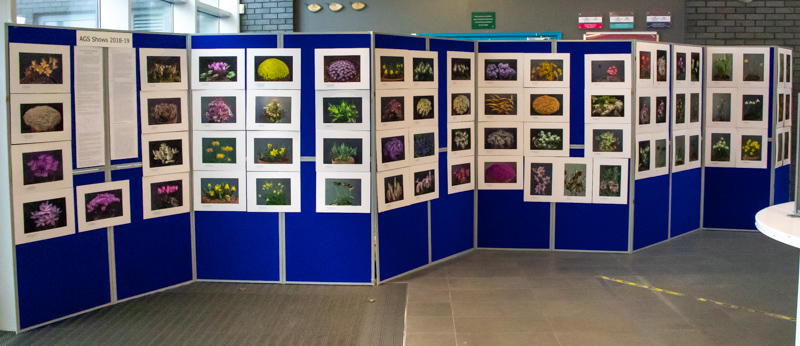 AGS Shows 2018-19 Display exhibited by Jon Evans
