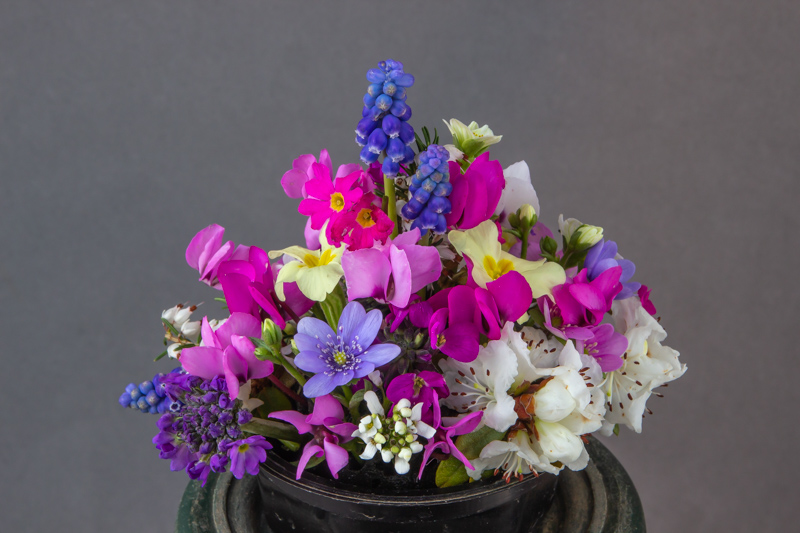 Flower arrangement by Mavis & Sam Lloyd