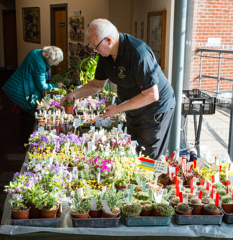AGS Members Plant Stall