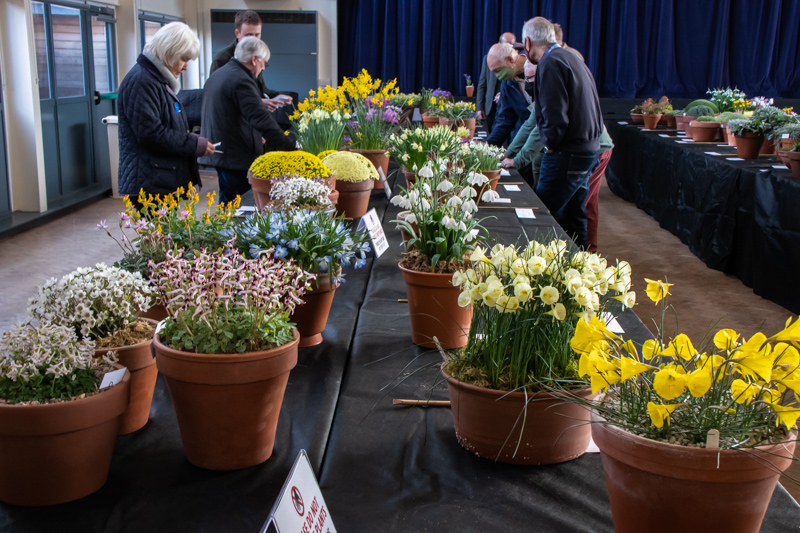 Pershore Early Spring Show view