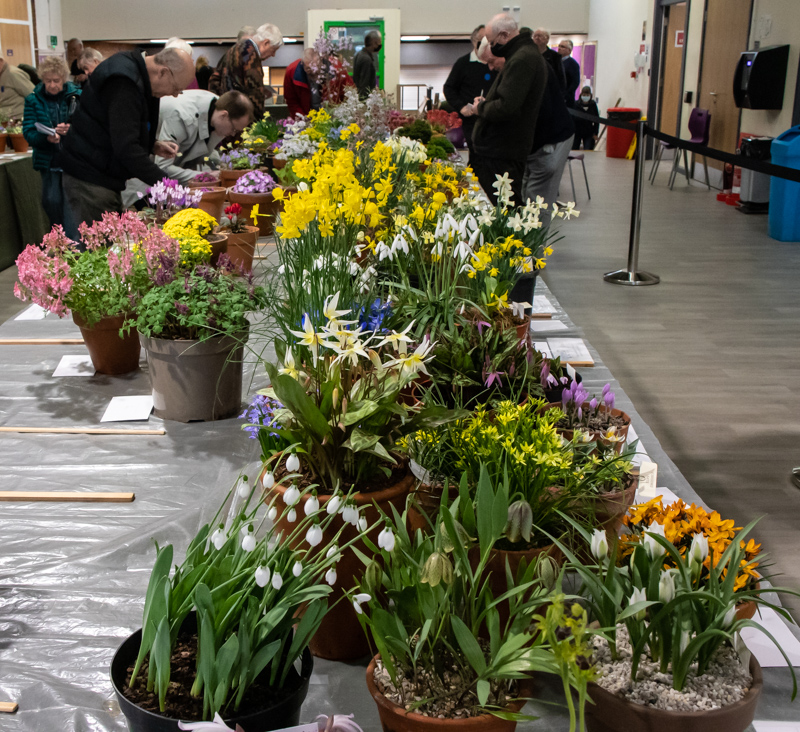 View of the Loughborough Spring Show