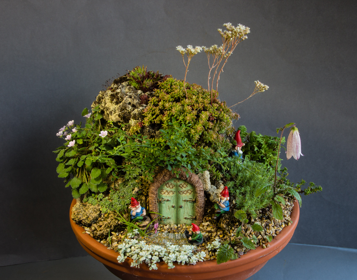Miniature gardens - Alpine Garden Society