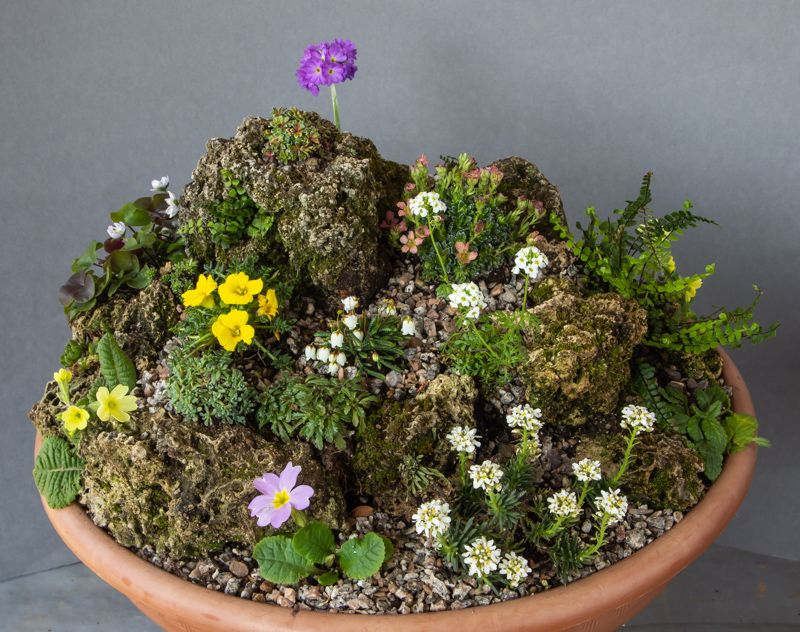 Miniature garden exhibited by Mavis & Sam Lloyd