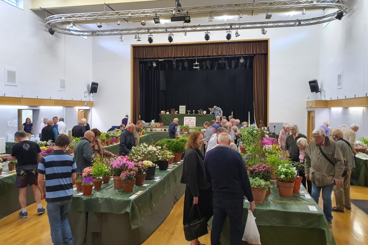 Visitors admiring plants at the East Lancashire AGS Show