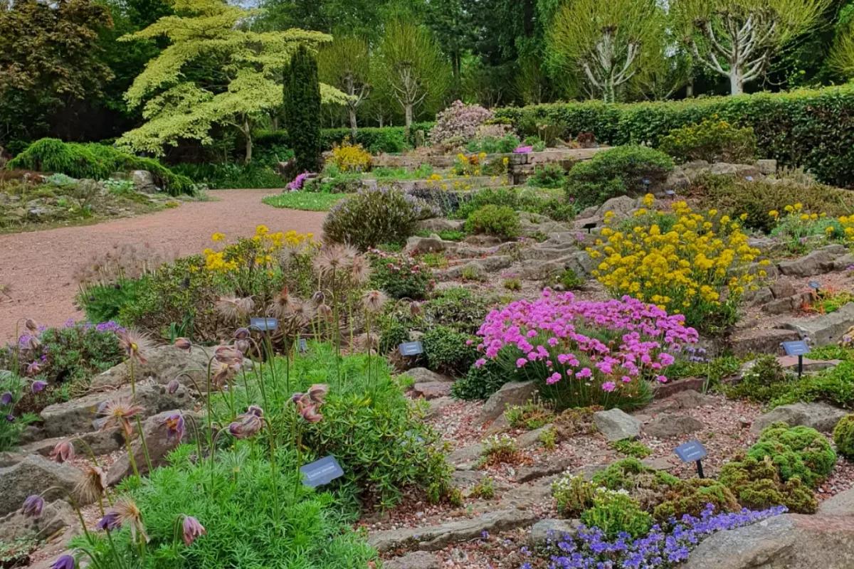 The crevice garden bed in the AGS Garden at Pershore