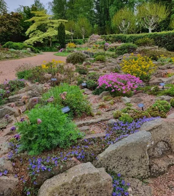 The crevice garden bed in the AGS Garden at Pershore