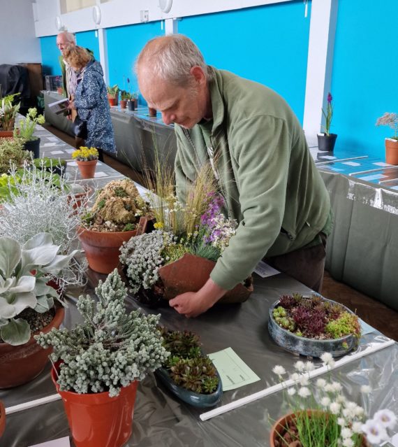 Lew Clark carefully placing his miniature garden on the show benches