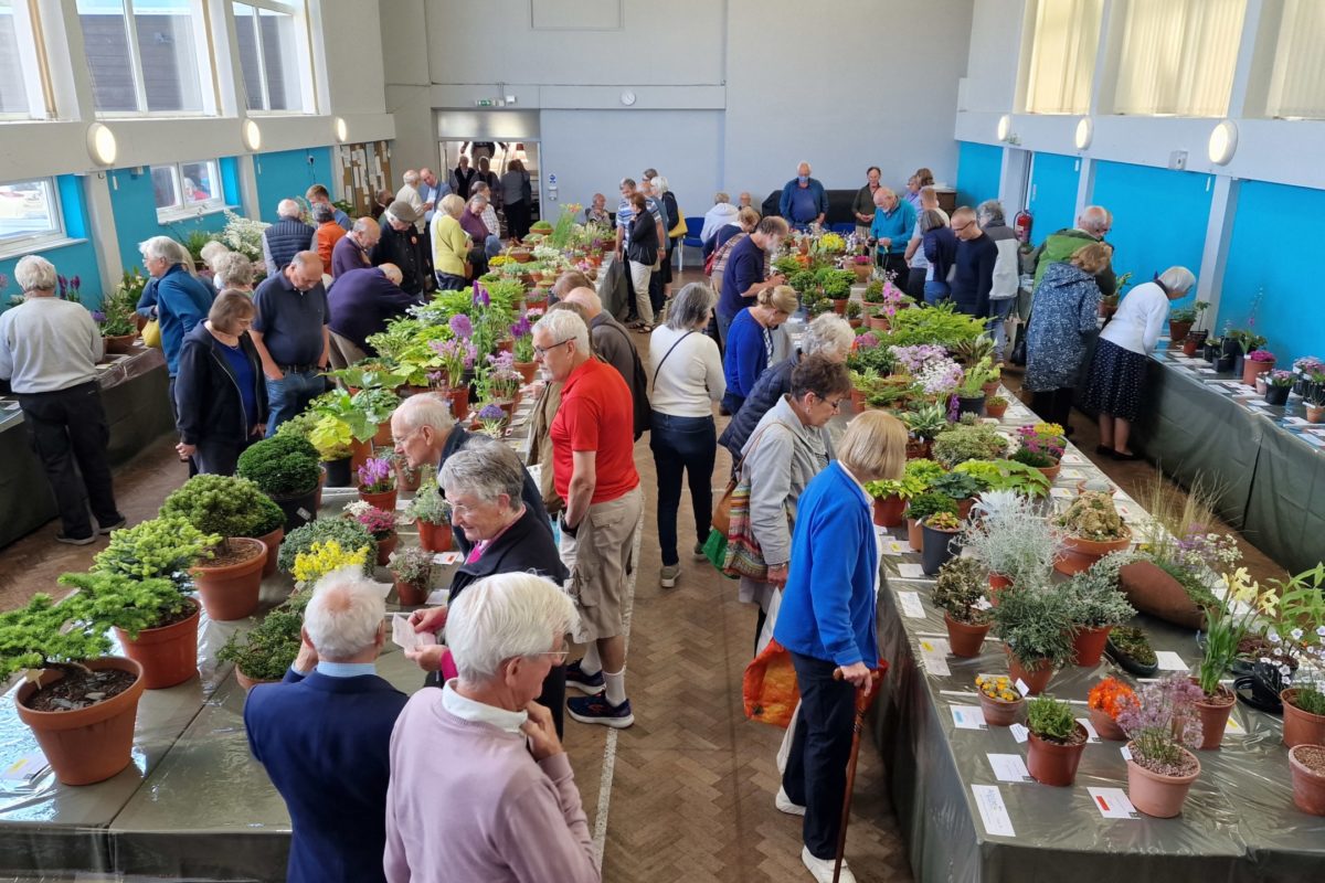 AGS East Cheshire Show and Plant Fair 2022