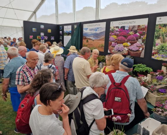 AGS display attracts a lot of interest
