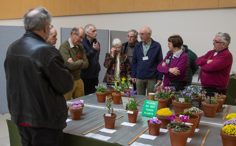 Judging in progress at the AGS South West Show