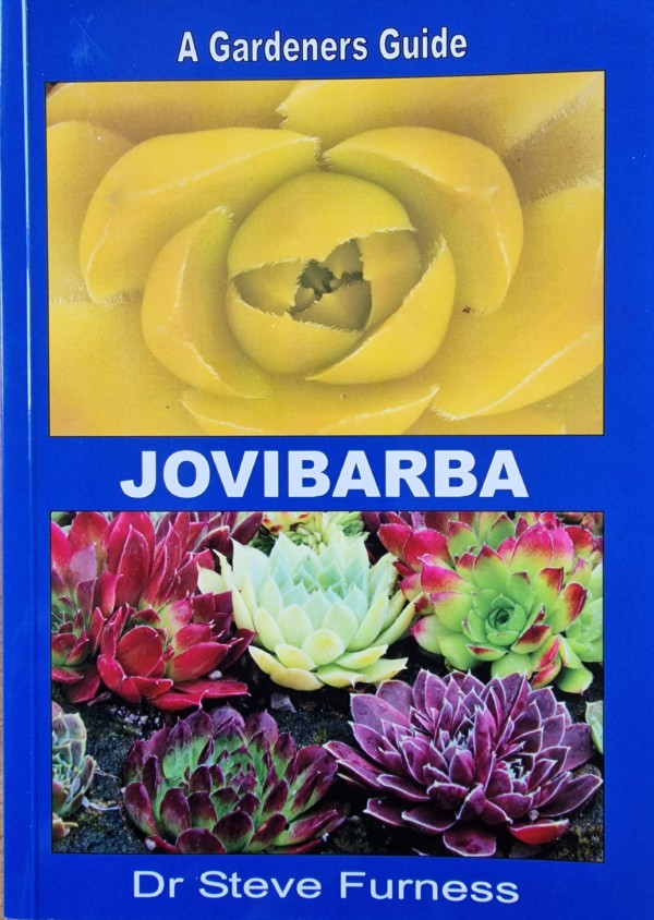 Jovibarba a gardenrs guide Steve Furness