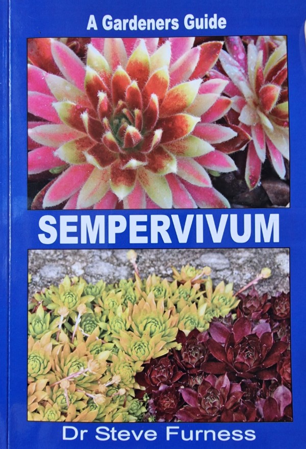 Sempervivum gardeners guide Steve Furness