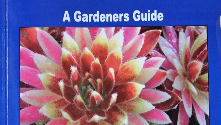 Sempervivum gardeners guide Steve Furness