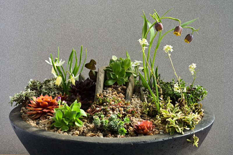 miniature garden exhibited by Aine Maire NiMhurchu