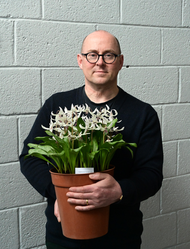 Erythronium hendersonii exhibited by Gavin Moore