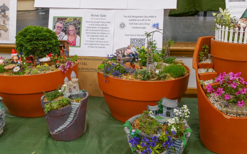 Miniature Gardens with Accessories exhibited by Anne Vale