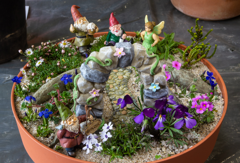 miniature garden with accessories exhibited by Anne Vale