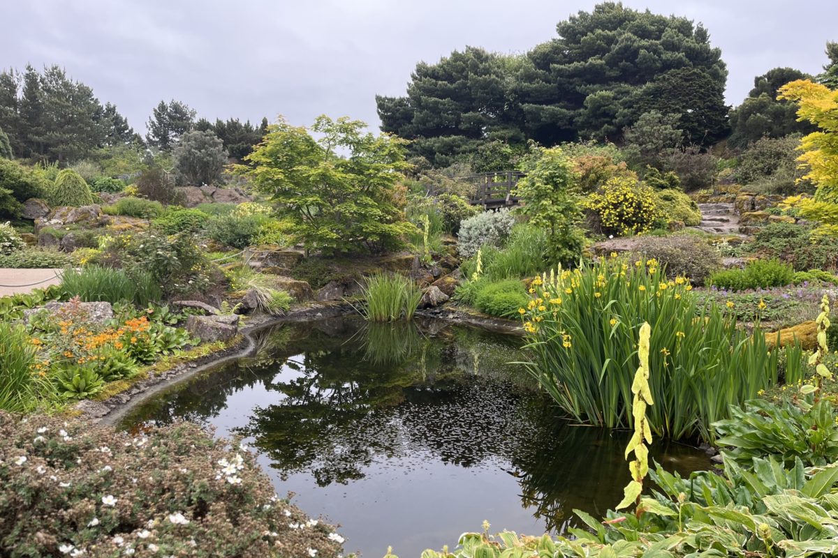 The rockery at RBGE