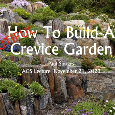 How to build a (beautiful) crevice garden - Paul Spriggs
