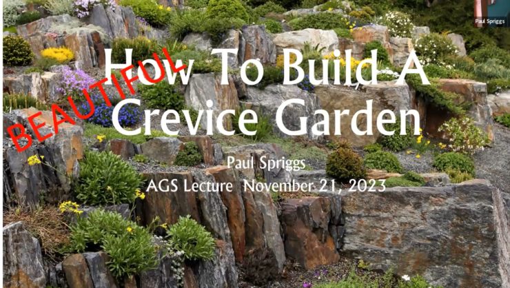How to build a (beautiful) crevice garden - Paul Spriggs