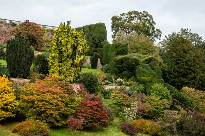 Powis castle garden and yew hedge