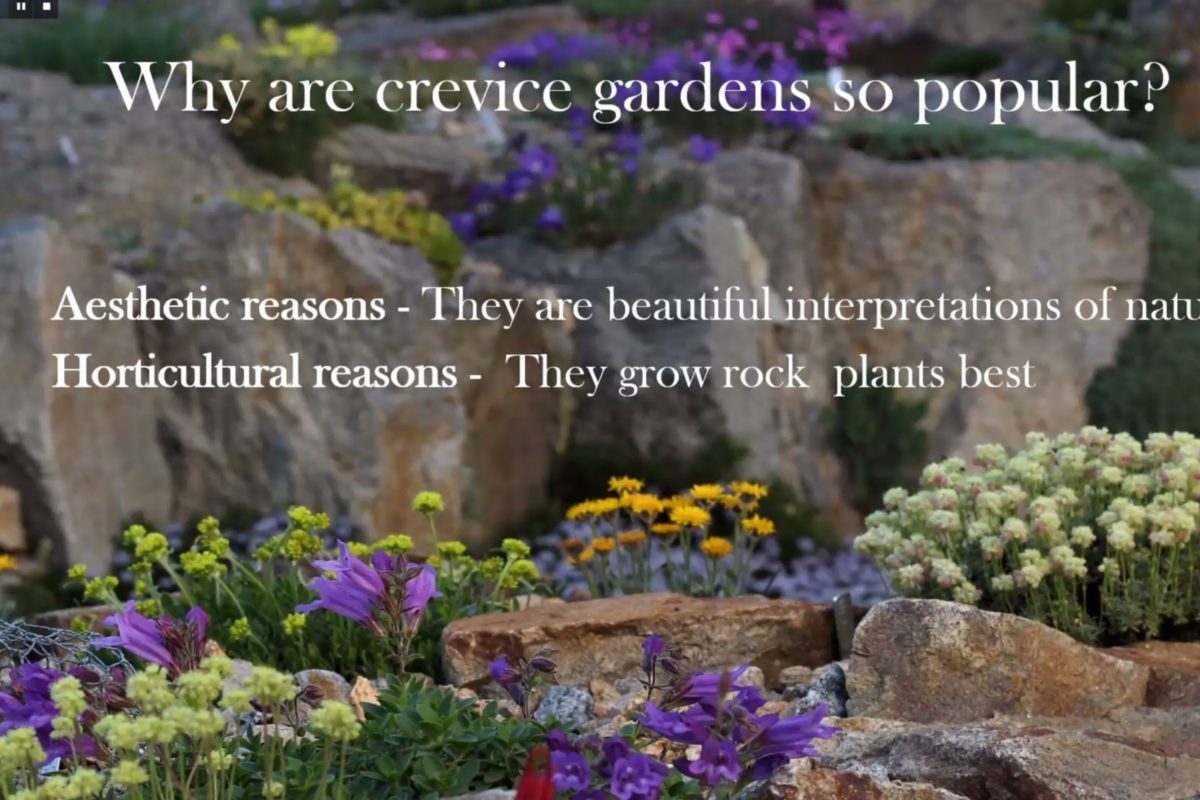 How to build a beautiful crevice garden - Paul Spriggs