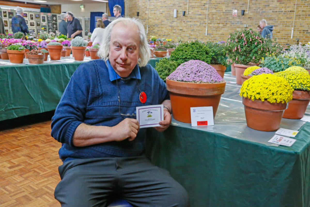 Nigel Fuller with his Farrer-winning Dionysia curviflora JCA 2800/3 at the AGS Kent Show in 2015